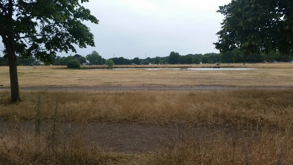 Rushmere Pond and open grassland on Wimbledon Common in a dry summer landscape